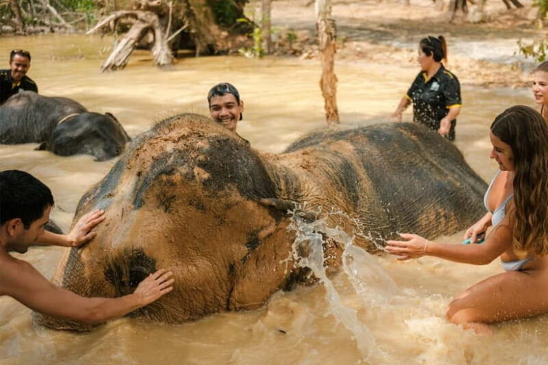 Krabi: Love Elephant Sanctuary Tour - The Practical Side: What You Need to Know