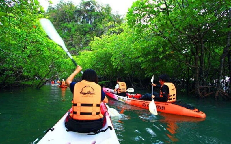 Krabi: Mangrove Kayak Adventure in Boh Tor, Ao Luek - Key Points