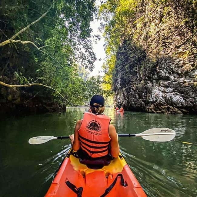Krabi: Mangrove Kayak Adventure in Boh Tor, Ao Luek - An Overview of the Krabi Mangrove Kayak Tour