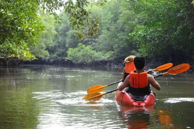Krabi: Mangrove Kayak Adventure in Boh Tor, Ao Luek - Why This Tour Is Worth Considering