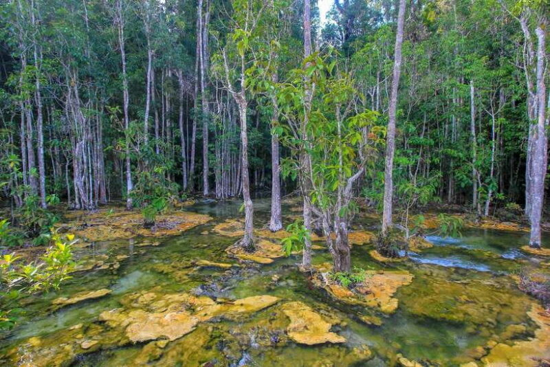 Krabi Outback Explorer to Emerald Pool & Wareerak Hotspring - Key Points
