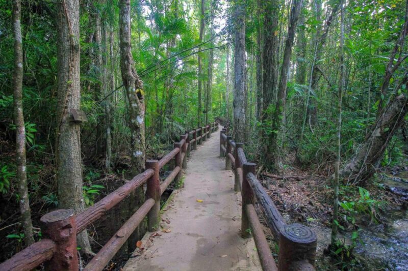 Krabi Outback Explorer with Visit of Tiger Cave Temple - Authenticity and Traveler Feedback