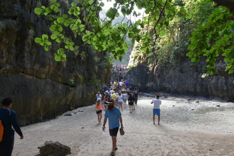 Krabi: Phi Phi Islands & Maya Bay Speedboat Tour with Lunch - Final Thoughts