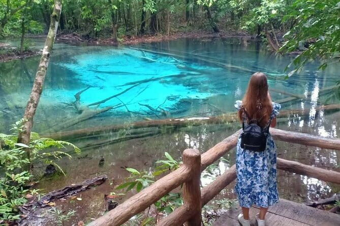 Krabi Private Snorkeling Cruise with Bioluminescent Night Snorkel - Who Is This Tour Best For?