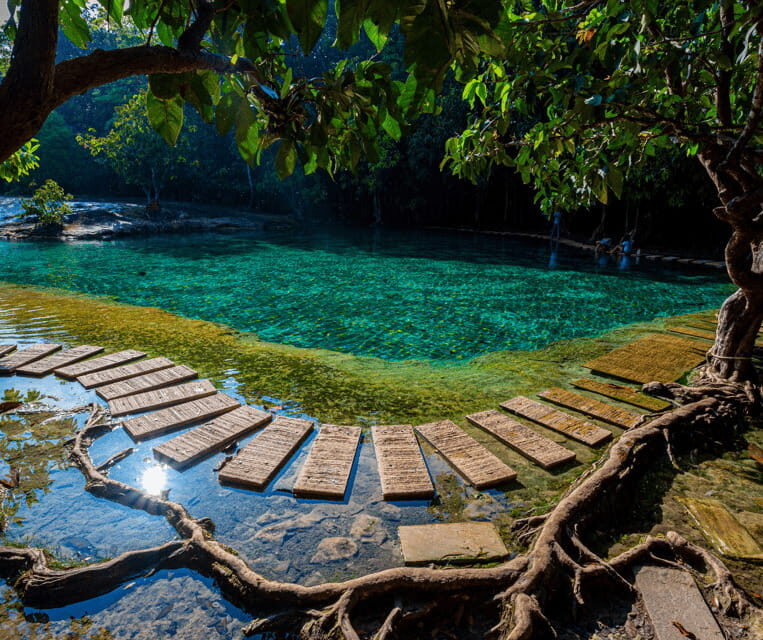Krabi: Rainforest Jungle Tour with Emerald Pool & Hot Spring - An Introduction to Krabi’s Jungle Adventure