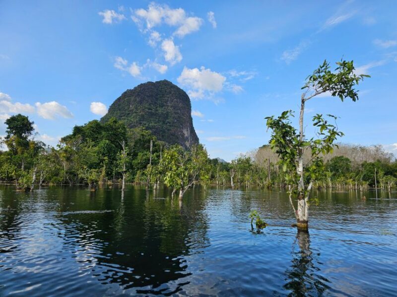 Krabi: South Kayak Klong Root Kayaking Tour - The Experience at a Glance