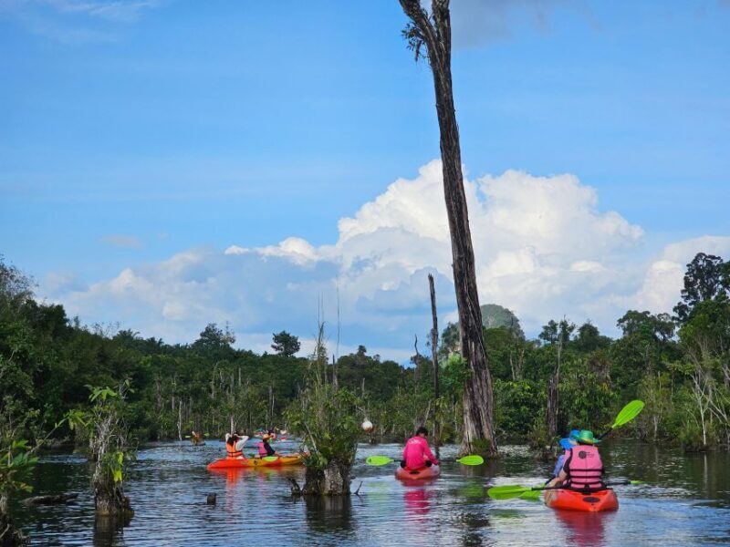 Krabi: South Kayak Klong Root Kayaking Tour - The Add-Ons: Enhancing Your Day