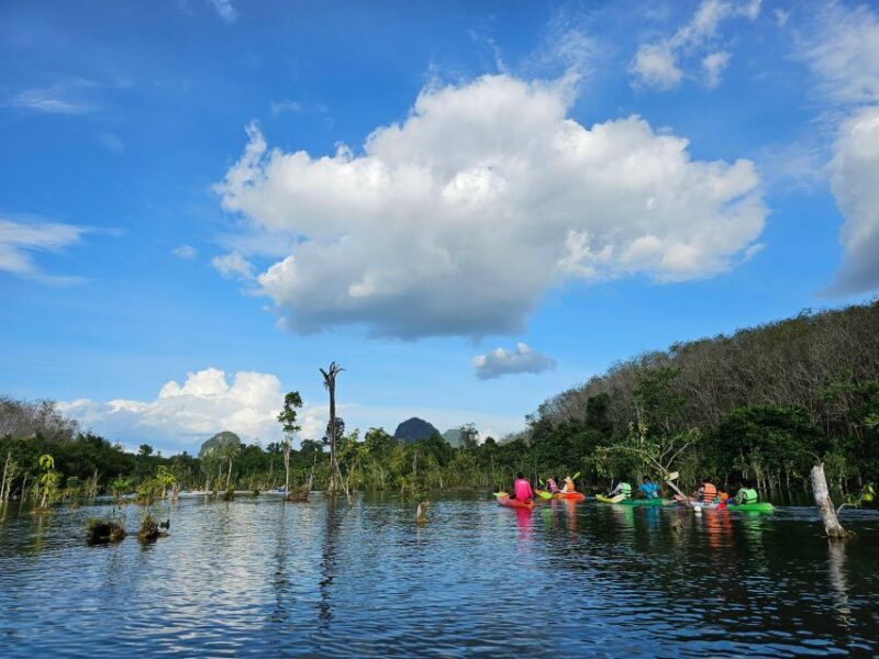 Krabi: South Kayak Klong Root Kayaking Tour - The Value of This Tour