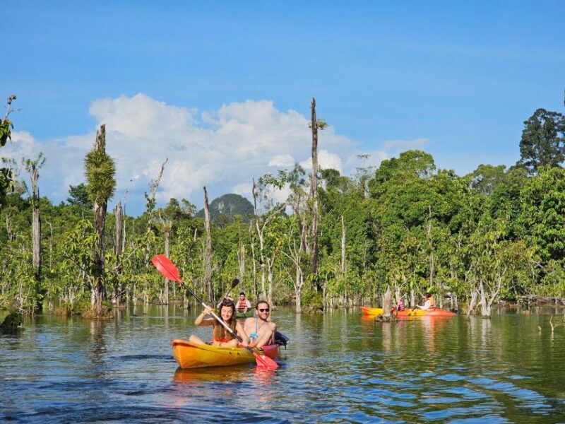 Krabi: South Kayak Klong Root Kayaking Tour - Who Should Consider This Tour?