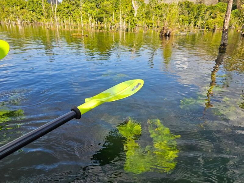Krabi: South Kayak Klong Root Kayaking Tour - The Sum Up: A Wonderful Intro to Krabi’s Natural Beauty