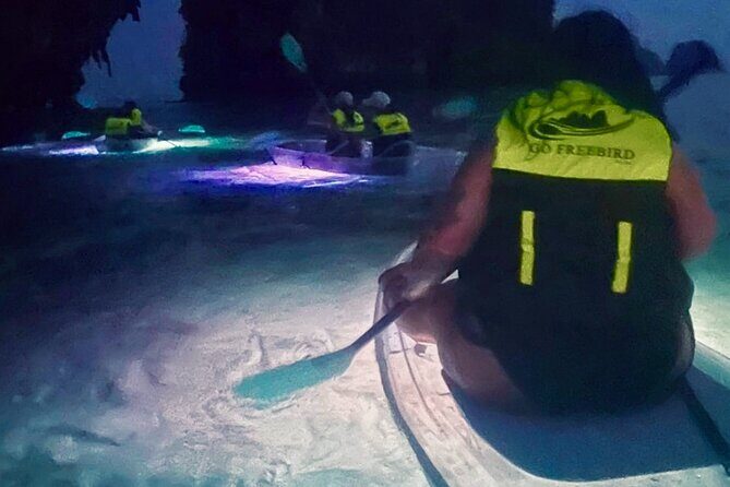 Krabi Stand-Up Paddleboard Illuminated Night Tour - The Experience Through the Eyes of Travelers
