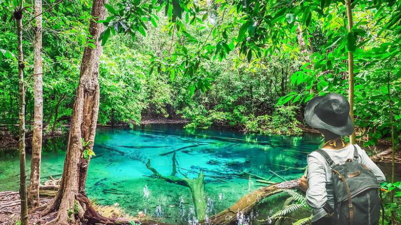 Krabi: Tiger Cave Temple, Emerald Pool and Hot Springs Tour - A Full Breakdown of the Tour Experience