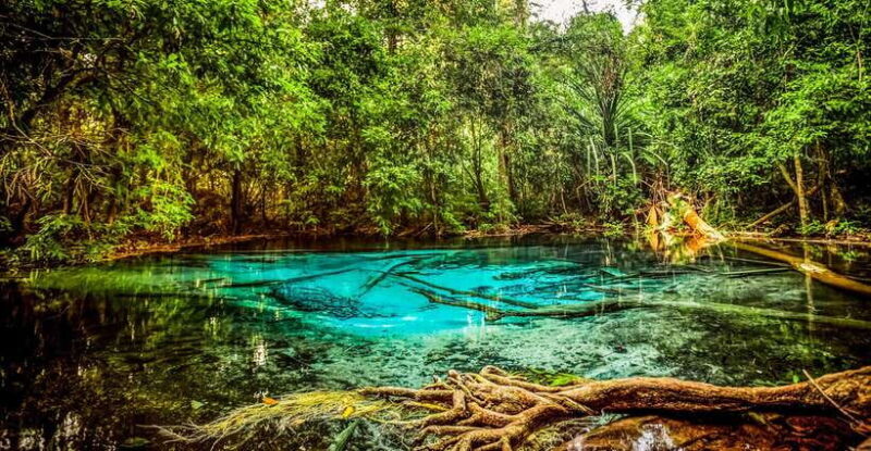 Krabi: Tiger Cave Temple, Emerald Pool and Hot Springs Tour - Final Thoughts: Who Will Love This Tour?