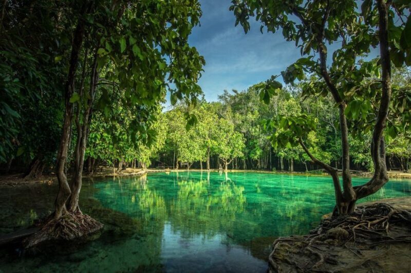 Krabi: Tiger Temple, Hot Springs & Crystal Pool Jungle Tour - Key Points