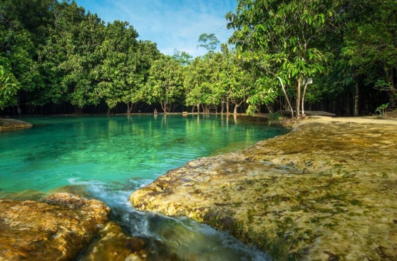 Krabi: Tiger Temple, Hot Springs & Crystal Pool Jungle Tour - Final Thoughts: Is It Worth It?