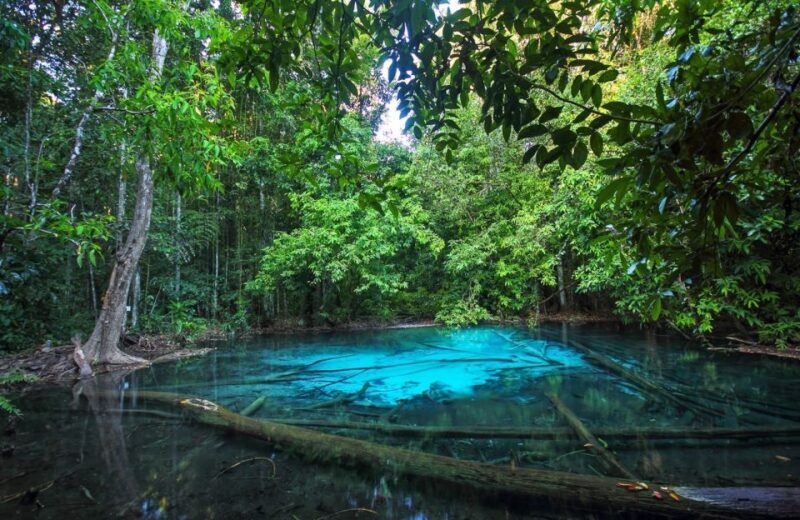 Krabi: Tiger Temple, Hot Springs & Crystal Pool Jungle Tour - FAQ