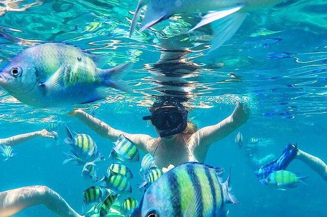 Krabi to Phi Phi Islands by Speedboat - The Complete Experience: What You Can Expect from This Tour