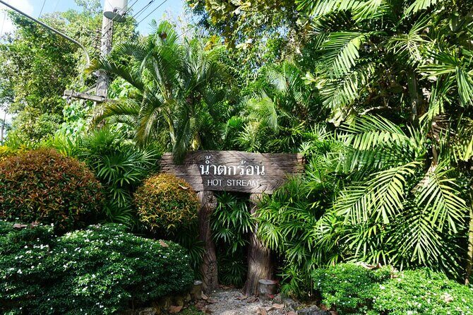 Krabi's Hidden Gems: Emerald Pool & Hot Spring Tour - A Practical Overview of the Tour