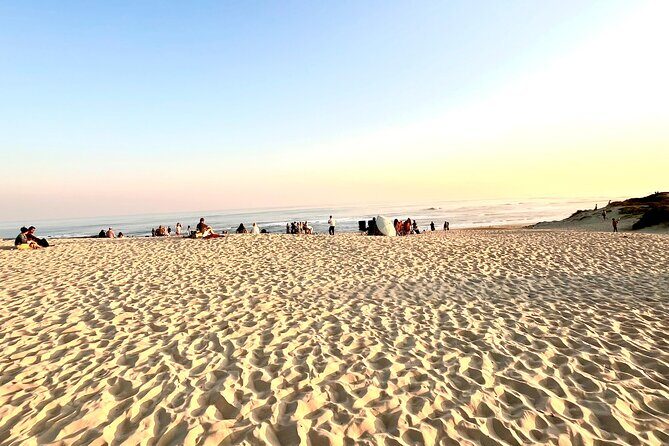 Kragga Kamma Game Drive and Scenic Coastal Tour in Port Elizabeth - The Sum Up