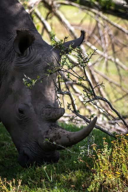 KRAGGA KAMMA GAME PARK - Key Points