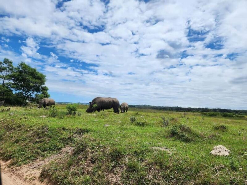 Kragga Kamma Game Park Half Day Safari - Key Points