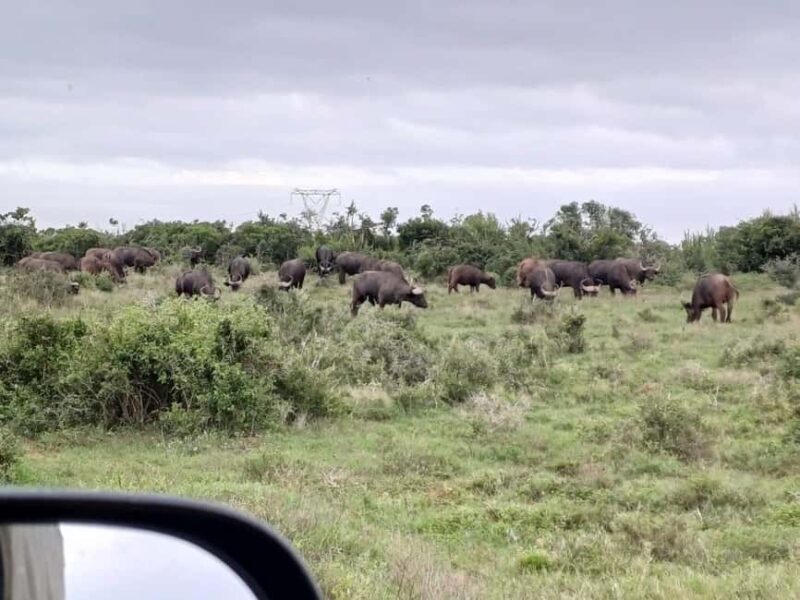 Kragga Kamma Game Park - Key Points