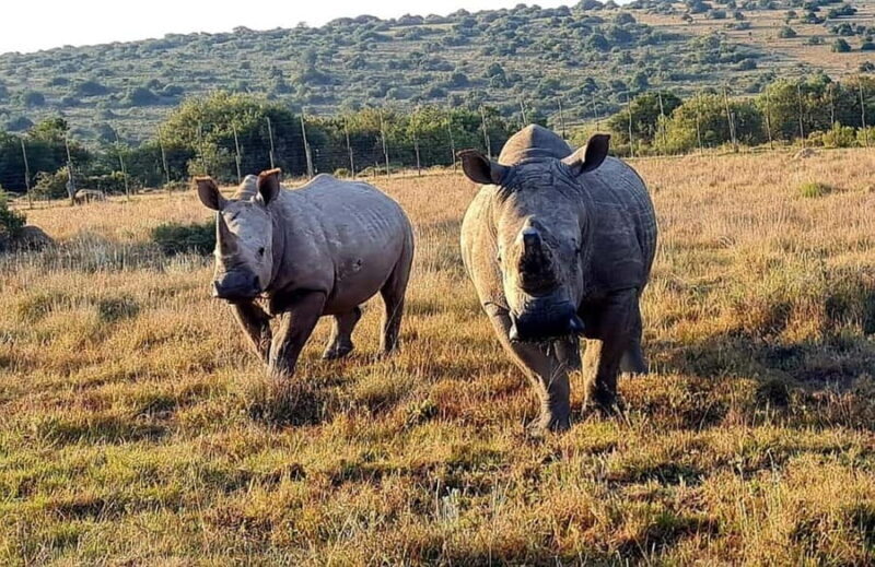 Kragga Kamma Game Park - Final Thoughts