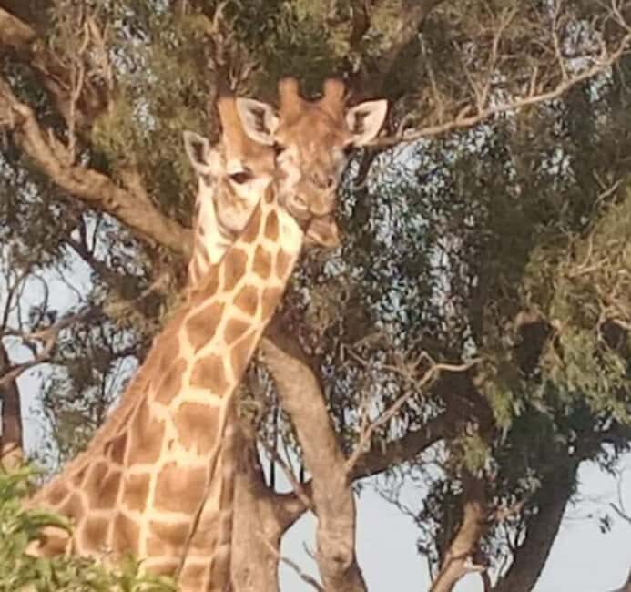 Kragga kamma private game reserve tour - Key Points