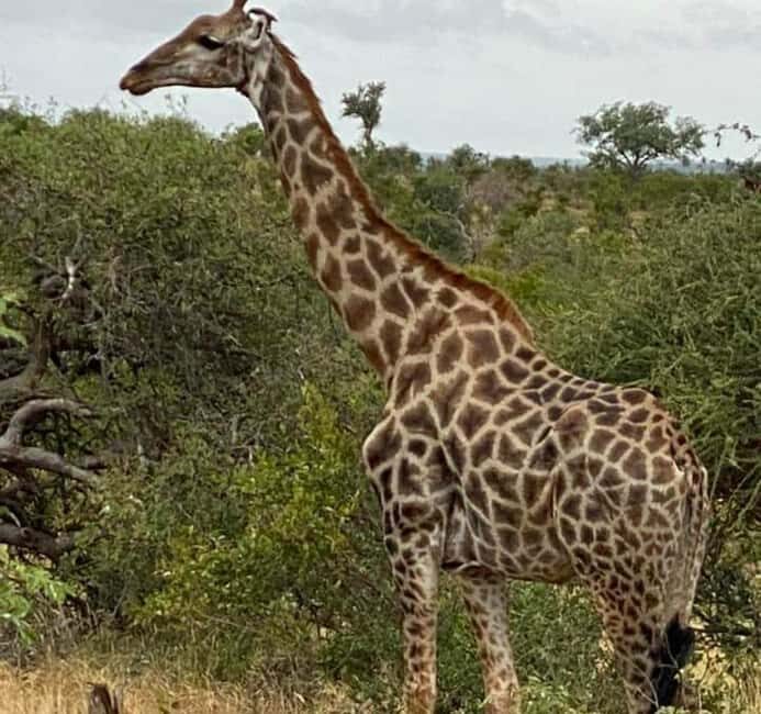 Kragga kamma private game reserve tour - An In-Depth Look at the Kragga Kamma Experience