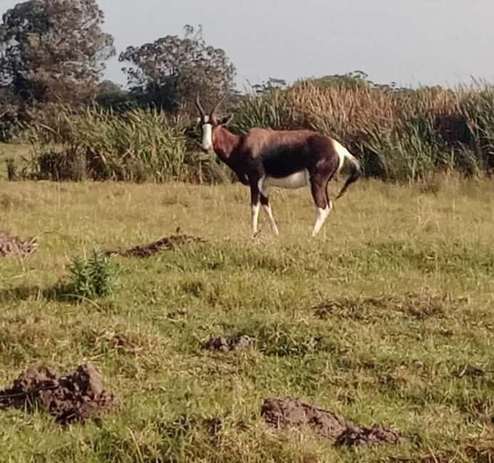 Kragga kamma private game reserve tour - The Sum Up