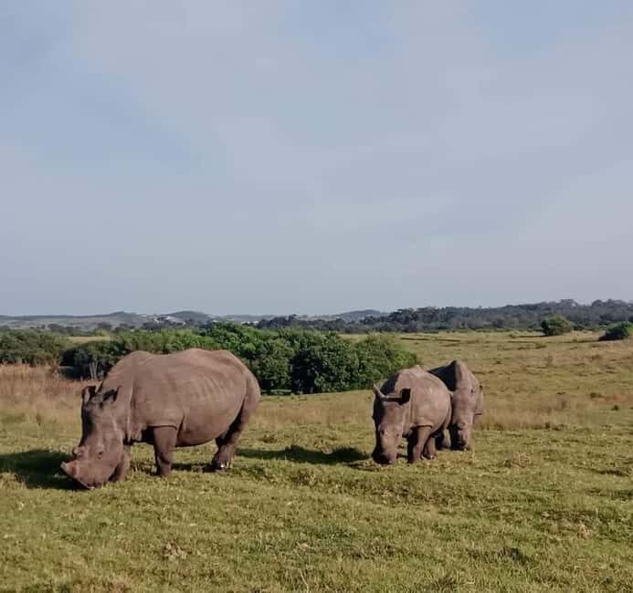 Kragga kamma private game reserve tour - FAQ