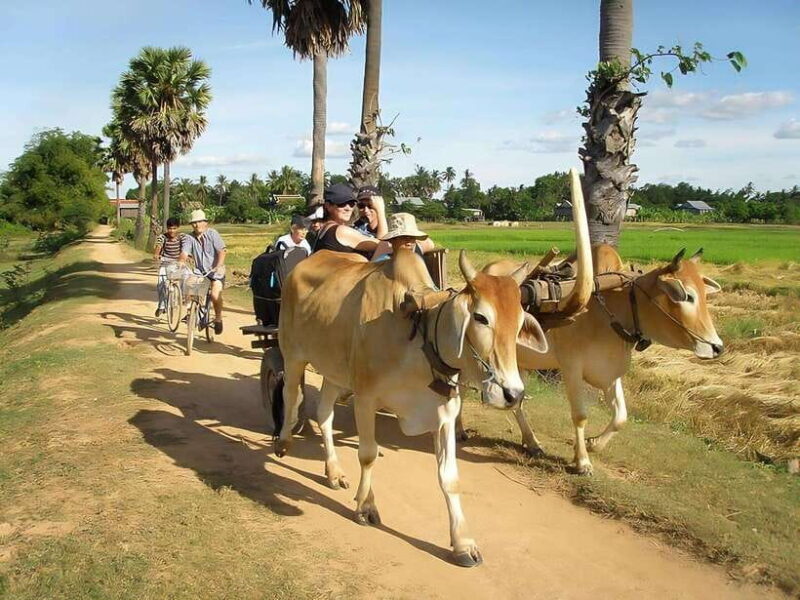 Kratie: Koh Trong Island Cycle Tour with Snacks - Key Points