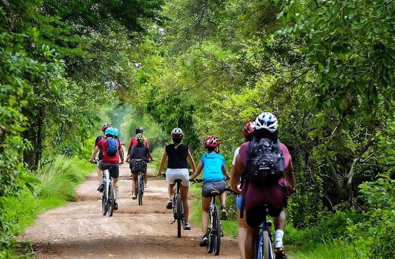 Kratie: Koh Trong Island Cycle Tour with Snacks - Who Will Love This Tour?