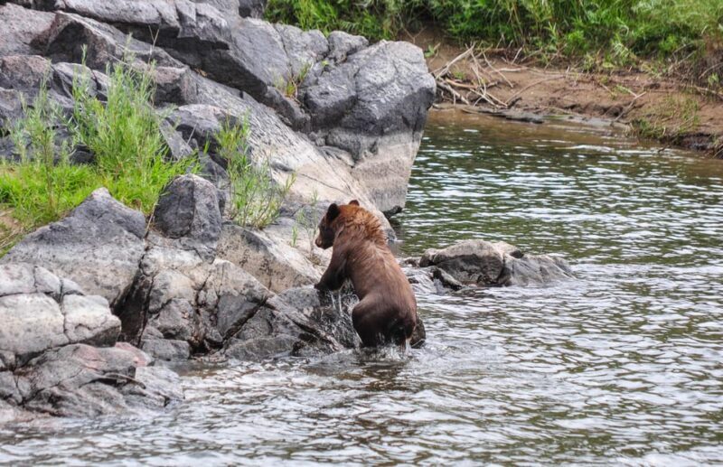 Kremmling: Upper Colorado Half-Day Guided Float - Final words