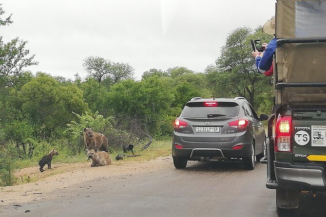 Kruger National Park 2 Days 1 Night Magical Safari from Johannesburg Private - Why Travelers Rave About This Tour