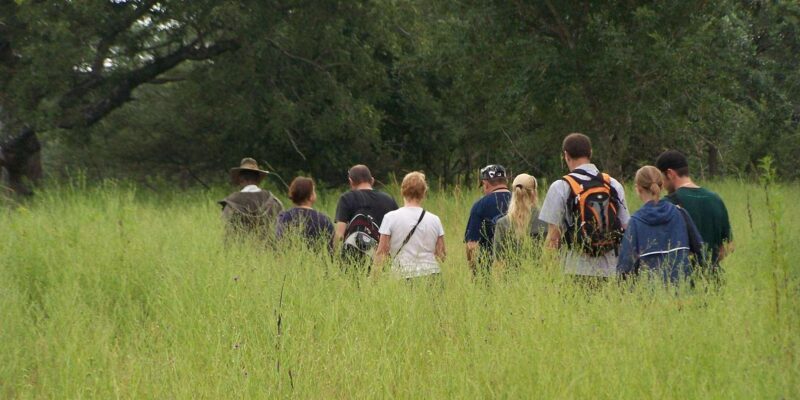 Kruger National Park: 3-Day Essence of the Kruger Safari - A Closer Look at the Itinerary