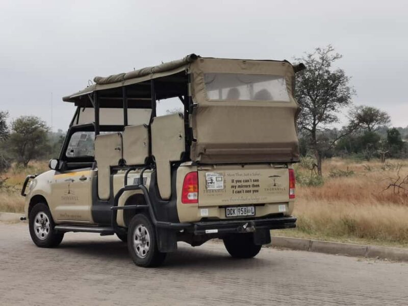 Kruger National Park: 3-Day Essence of the Kruger Safari - The Experience of Staying at Thornhill Safari Lodge