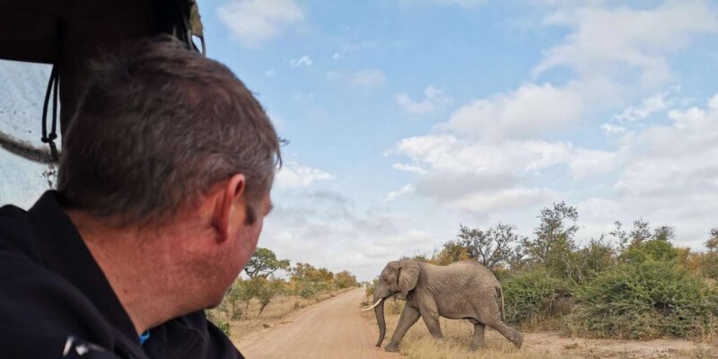 Kruger National Park: 3-Day Essence of the Kruger Safari - What Travelers Are Saying