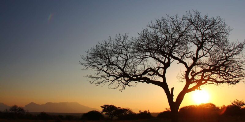 Kruger National Park: 3-Day Essence of the Kruger Safari - Final Thoughts