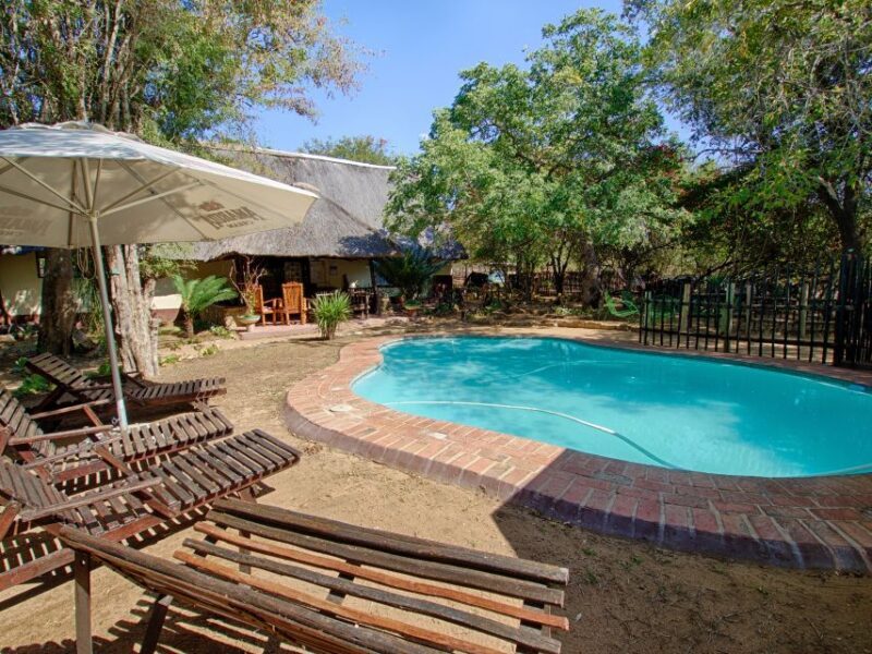 Kruger National Park: 3-Day Safari Tour and Treehouse Stay - Key Points