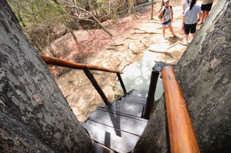 Kruger National Park: 3-Day Safari Tour and Treehouse Stay - An Honest Look at the 3-Day Kruger Safari Experience