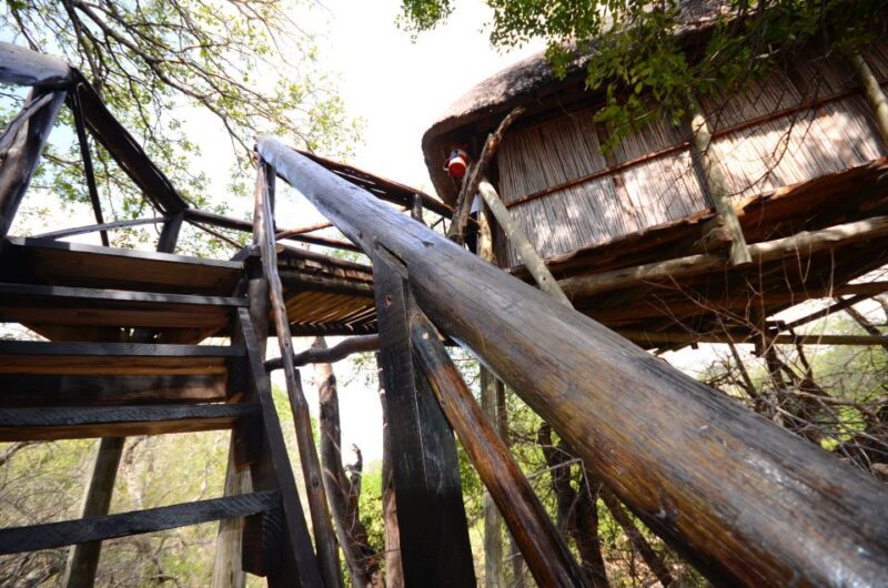 Kruger National Park: 3-Day Safari Tour and Treehouse Stay - Is This Tour Worth It?