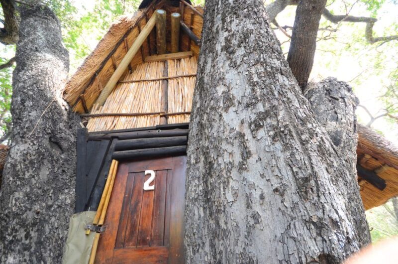 Kruger National Park: 3-Day Safari Tour and Treehouse Stay - Who Should Consider This Tour?