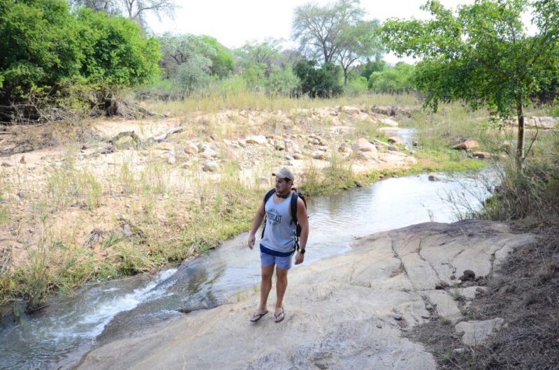 Kruger National Park: 3-Day Safari Tour and Treehouse Stay - FAQs