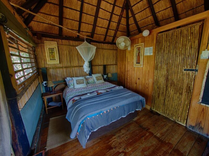 Kruger National Park: 3-Day Safari Tour and Treehouse Stay - Final Thoughts