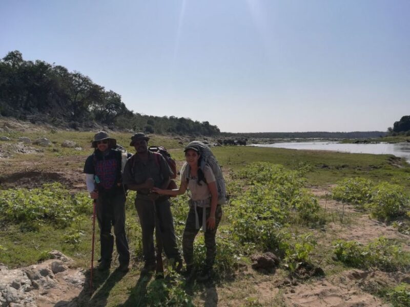 Kruger National Park: 3-Hour Walking Safari - An In-Depth Look at the Kruger Walking Safari