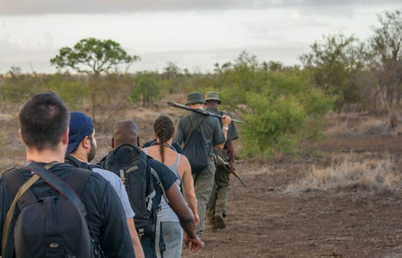Kruger National Park: 3-Hour Walking Safari - The Sum Up