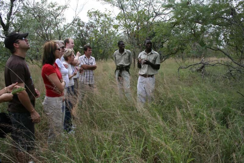 Kruger National Park: 4-Day Encounter the Kruger Park Safari - An In-Depth Look at the 4-Day Safari Experience