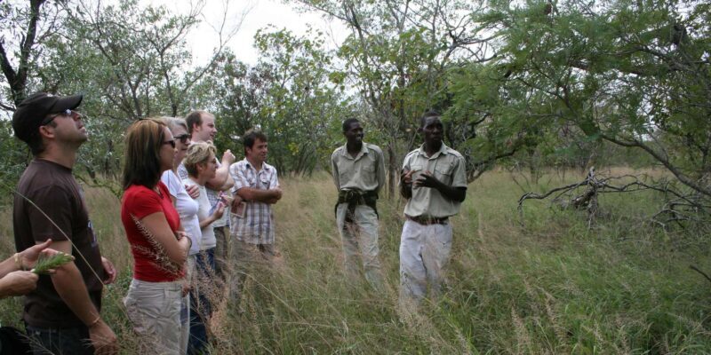 Kruger National Park: 4-Day Encounter the Kruger Park Safari - FAQs