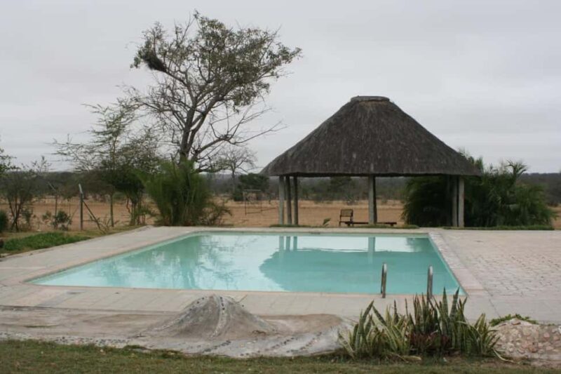 Kruger National Park: 4-Day Glamping Budget Safari - An In-Depth Look at the 4-Day Glamping Safari